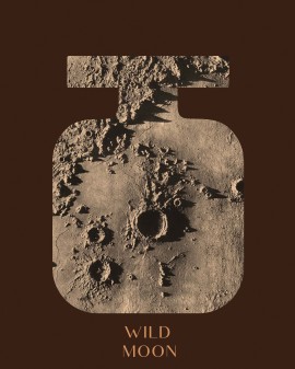 Wild Moon | Namų kvapas 200 ml | BRONZE