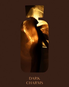 DARK CHARMS | NAMŲ KVEPALAI 100 ML | BRONZE