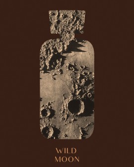 WILD MOON | NAMŲ KVEPALAI 100 ML | BRONZE